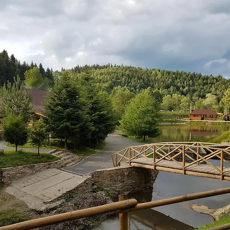 відпочинково- оздоровчий комплекс опака з форельником * Skhidnytsia
