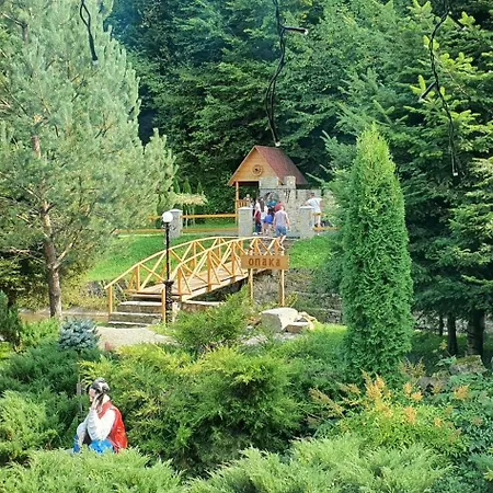 відпочинково- оздоровчий комплекс опака з форельником *