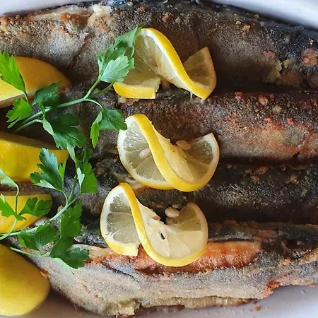 відпочинково- оздоровчий комплекс опака з форельником Apartament *