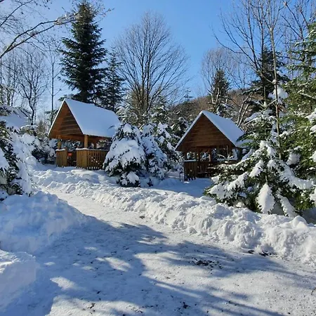 відпочинково- оздоровчий комплекс опака з форельником Apartament Skhidnytsia