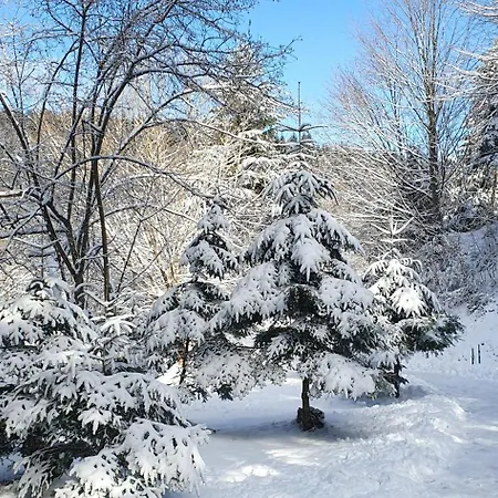 відпочинково- оздоровчий комплекс опака з форельником * Skhidnytsia