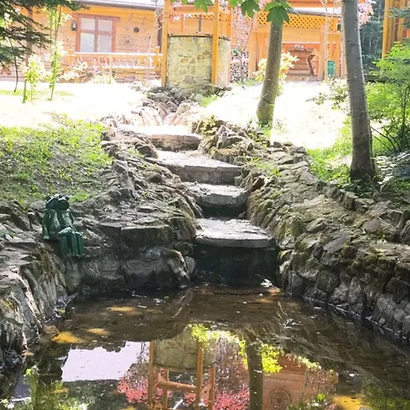 відпочинково- оздоровчий комплекс опака з форельником * Skhidnytsia