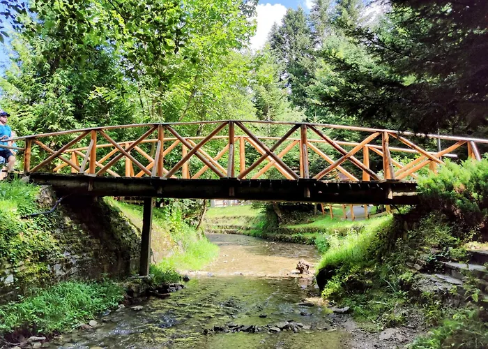 公寓 відпочинково- оздоровчий комплекс опака з форельником Skhidnytsia